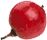 Satvam