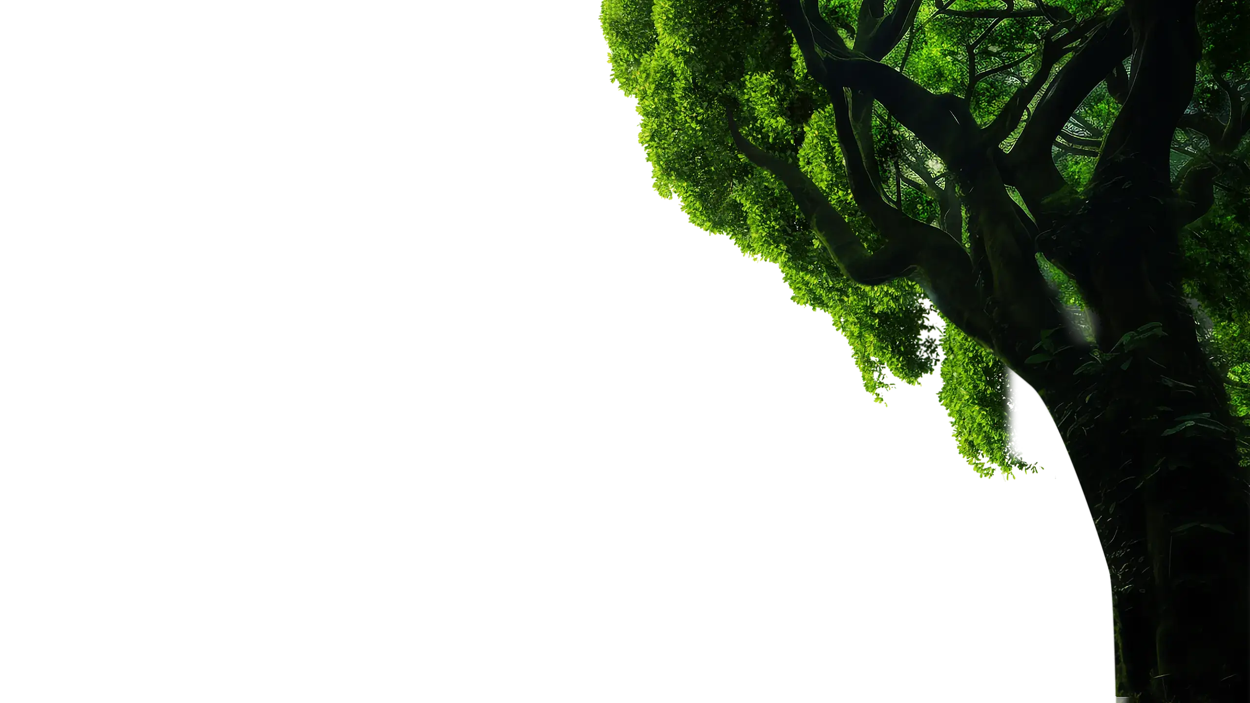 tree